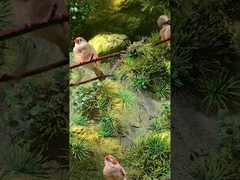 Latgales Zoo tūre – iepazīsti mūs tuvāk!