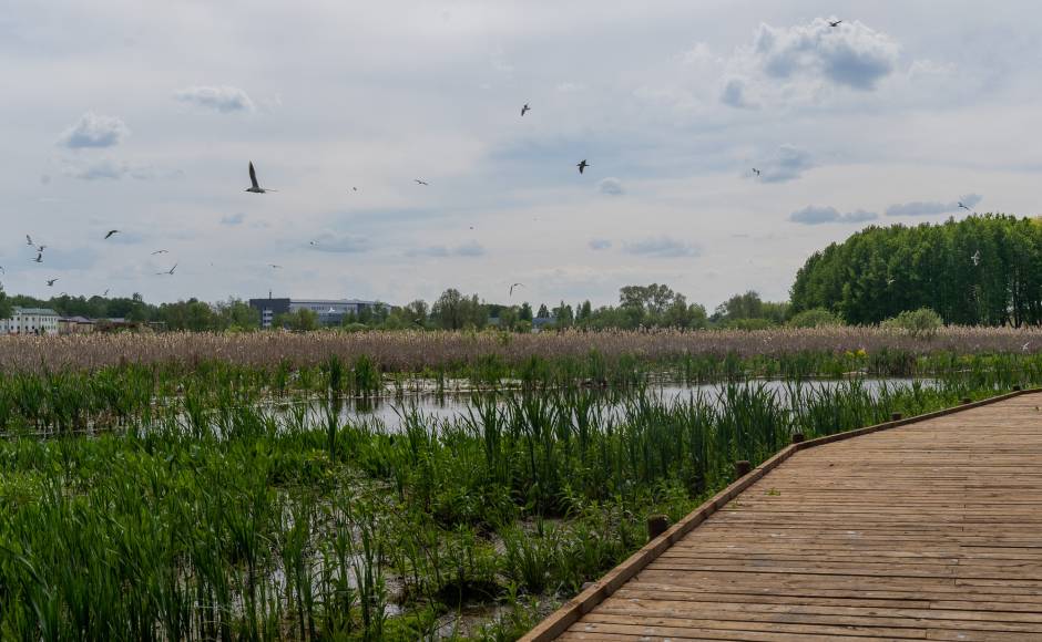 Mitrāja ainava ar taku